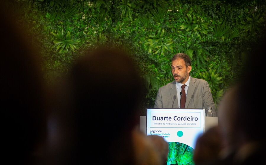Duarte Cordeiro