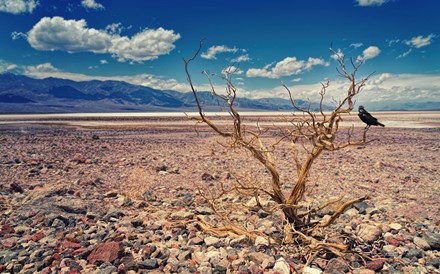 Banco Mundial vai acolher fundo de perdas e danos climáticos