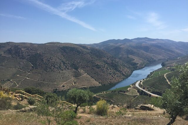 ASAE apreende 10 toneladas de uvas na Região Demarcada do Douro