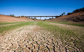 Governo aprova apoios de 320 milhões para agricultores por causa da seca e subida dos custos de produção