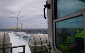 Ter eólico “offshore” com a ajuda da Galiza “não é vergonha nenhuma”