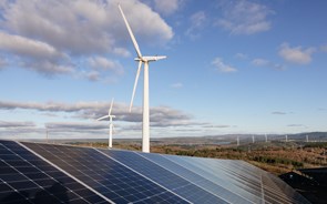 Nipónica Renewable Japan quer comprar nove parques eólicos em Portugal 