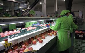 maçãs Desfruta