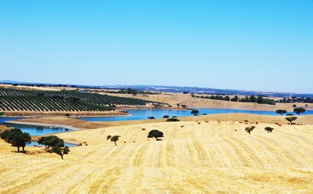 Alentejo pode ser “laboratório vivo” de soluções para alterações climáticas