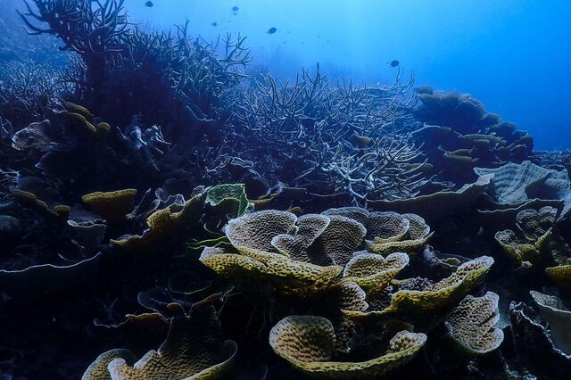 Mundo aproxima-se de cinco pontos de rutura do sistema terrestre
