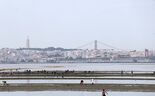 Pesca ilegal no Tejo rende milhões a redes mafiosas