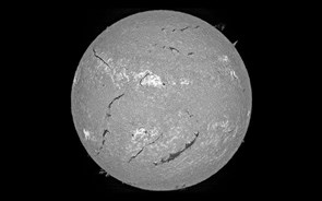 Paragrafino Pescada entra o ano a culpar o Mercúrio Retrógrado