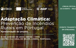 Adaptação Climática: Prevenção de Incêndios Rurais em Portugal