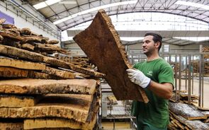 A Corticeira Amorim é a terceira que mais desvaloriza no PSI desde o início do ano.