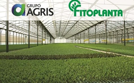 Grupo Agris adquire Fitoplanta e entra na Produção