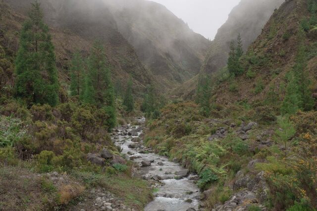 Novo Pacto Verde quer auscultar sociedade para definir estratégia de longo prazo
