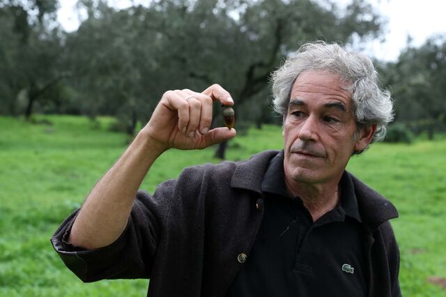 Alfredo Cunhal Sendim: “É urgente recuperar os ecossistemas”