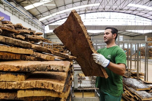 Corticeira Amorim propõe dividendos de 42,5 milhões aos acionistas em assembleia-geral