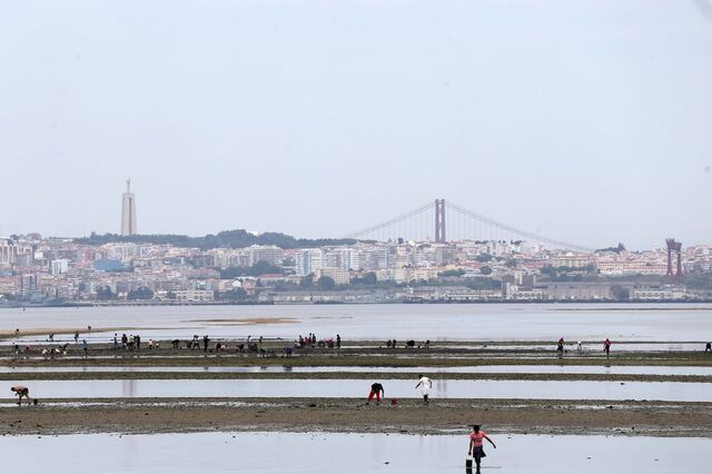 Pesca ilegal no Tejo rende milhões a redes mafiosas