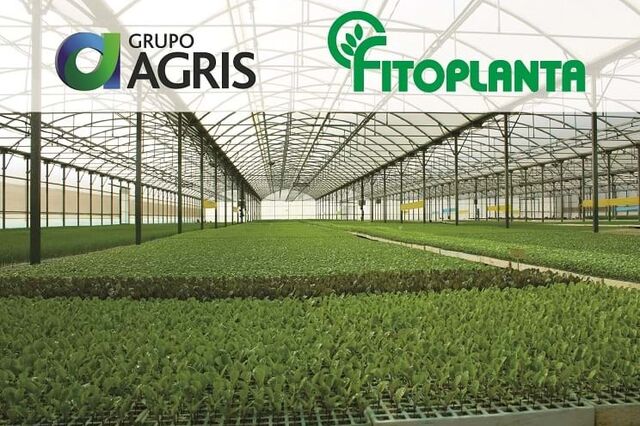 Grupo Agris adquire Fitoplanta e entra na Produção