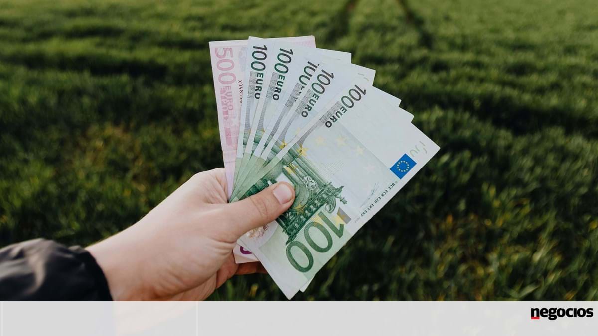Banco de Portugal utilisera du coton 100 % durable dans la production de billets de banque – Environnement