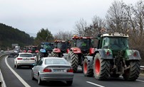 Agricultores fazem uma marcha lenta com os tratores em plena autoestrada A15, em Pamplona, Espanha. As manifestações estão a ser convocadas pelas três confederações agrícolas espanholas e também por grupos informais, que usam as redes sociais para mobilizar os agricultores.
