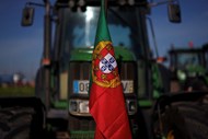 Os protestos dos portugueses começaram a 1 de fevereiro com a mobilização, de norte a sul do país, a ser dinamizada pelo grupo 'Movimento Civil Agricultores de Portugal. Na imagem, os tratores percorriam a A6, em Elvas.