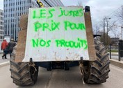 Agricultores franceses levam o protesto até ao Parlamento Europeu, em Estrasburgo. No cartaz lê-se: 'Preços justos para os nossos produtos'.