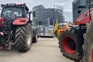 No exterior do Parlamento Europeu ouviram-se as queixas contra leis que os agricultores dizem colocar em causa a sua competitividade, enquanto no interior decorria um debate sobre a PAC.