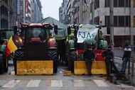protesto manifestação agricultores bruxelas