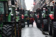 protesto manifestação agricultores bruxelas