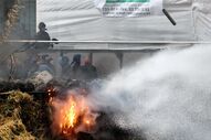 protesto manifestação agricultores bruxelas