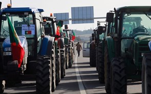 Ministra vai reunir-se com manifestantes de Macedo de Cavaleiros. Agricultores desmobilizam protesto