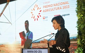 Maria do Céu Antunes: “É essencial a atração de jovens para a agricultura”