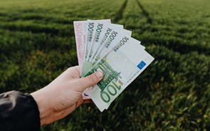 Banco de Portugal vai utilizar algodão 100% sustentável na produção de notas 