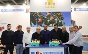 Eden Gold: a 'pera do mundo' concebida por israelita começa a ser produzida em Portugal