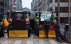 Agricultores: Comissão Europeia quer ajudas ao setor aprovadas nesta legislatura