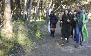 PAN acusa AD de ser 'aliança antidemocrática' no município de Cascais