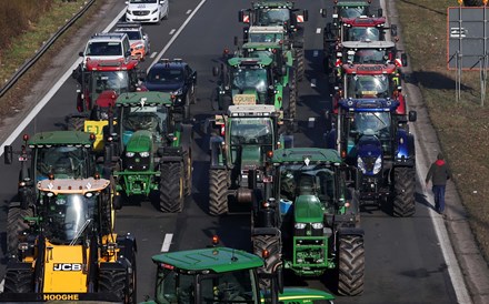 CAP: Relatório sobre futuro da agricultura da UE pode ser 'ponto de viragem' para emendar erros