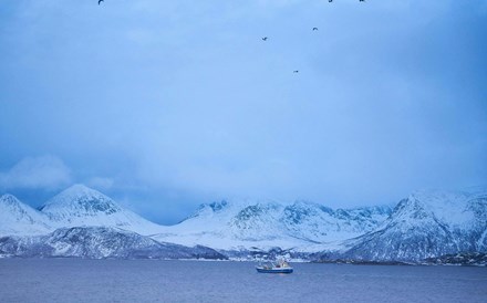 Parlamento Europeu critica vontade da Noruega de minerar mar do Ártico