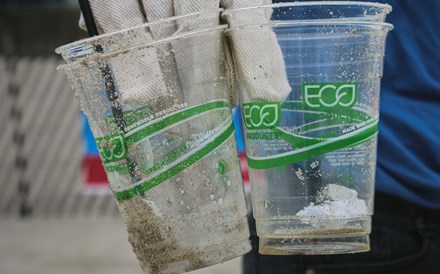 Empresas que cometerem “greenwashing” podem ser excluídas de contratos públicos