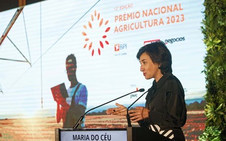 Maria do Céu Antunes: “É essencial a atração de jovens para a agricultura”