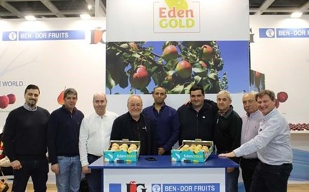 Eden Gold: a 'pera do mundo' concebida por israelita começa a ser produzida em Portugal