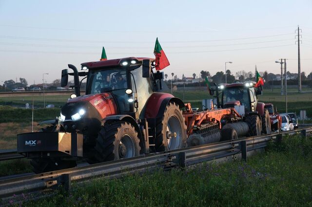 Transportadora Lusocargo alerta para risco de 'dificuldades' no abastecimento de alimentos