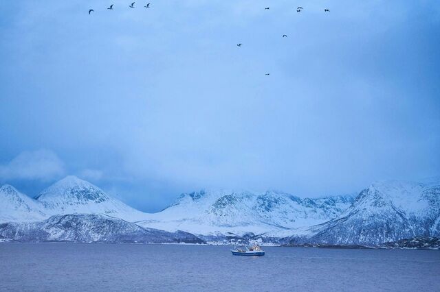 Parlamento Europeu critica vontade da Noruega de minerar mar do Ártico