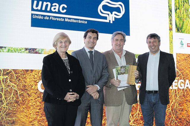 Pioneiros da floresta digital foram premiados