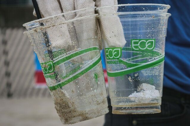 Empresas que cometerem “greenwashing” podem ser excluídas de contratos públicos