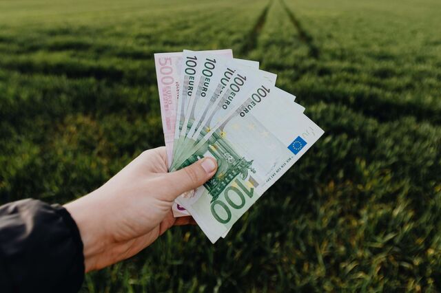 Banco de Portugal vai utilizar algodão 100% sustentável na produção de notas 