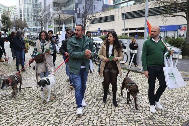 PAN quer mais apoios para os animais e aposta na ferrovia