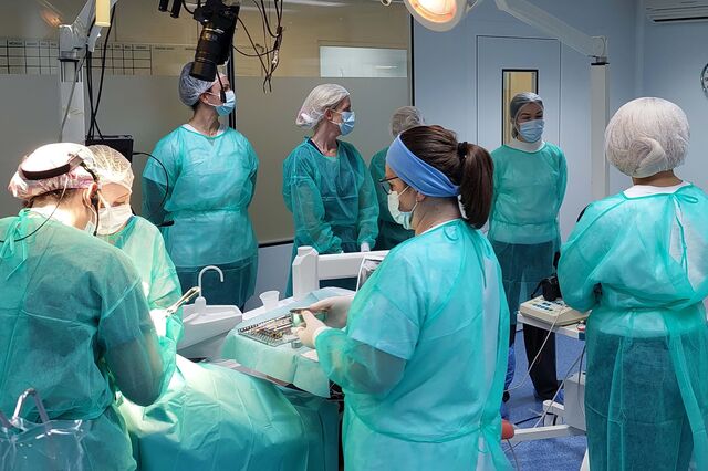 Malo Clinic fatura mais de meio milhão a formar dentistas de 30 países