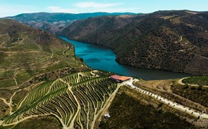 Primeiro vinho do Douro da Casa Ermelinda Freitas conquista medalha de grande ouro na França