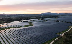 EDP inaugura em Portugal a sua maior central solar na Europa e chega aos 540 MW