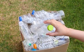 Embalagens mais circulares ajudam a dizer não ao plástico 