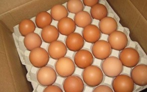 Noruegueses vão à Suécia comprar ovos para a Páscoa devido a escassez no país