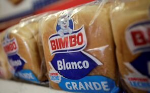 Grupo bimbo